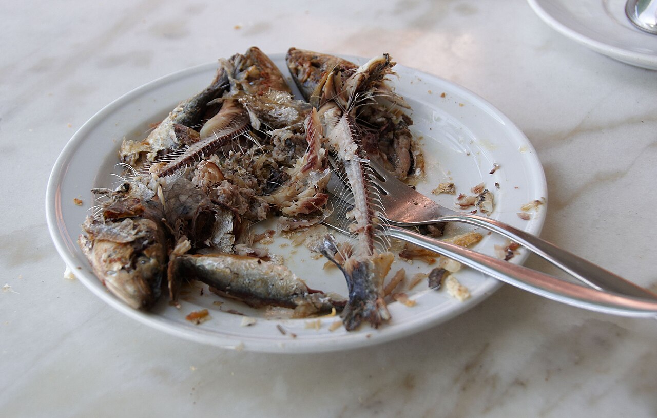 Sardines semoule tomate concombre